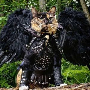 Meet your Posher, Dennis